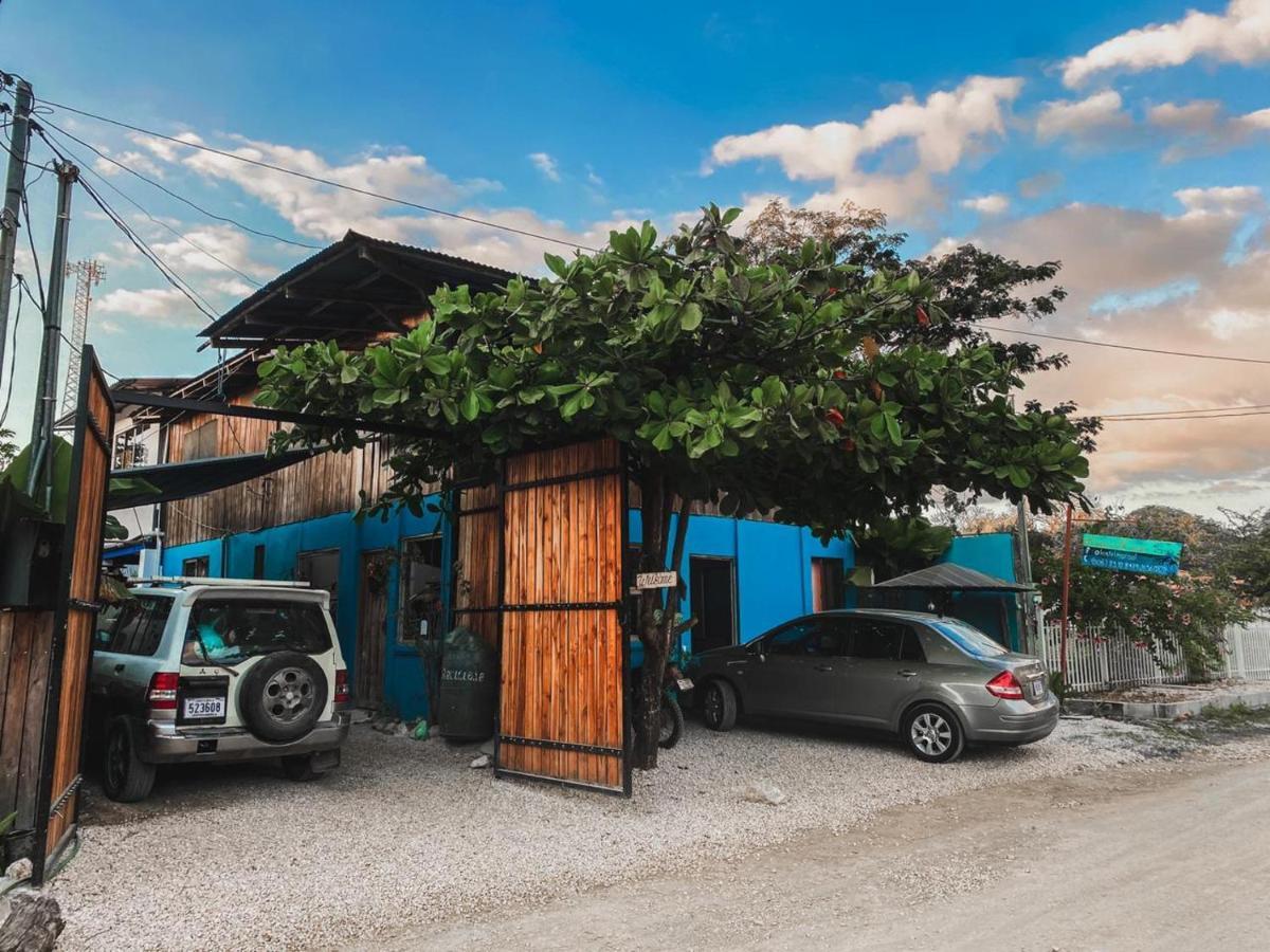 Hostel Marisol Samara Exterior photo